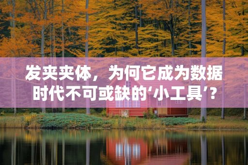 发夹夹体，为何它成为数据时代不可或缺的‘小工具’？