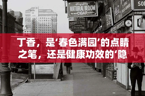丁香，是‘春色满园’的点睛之笔，还是健康功效的‘隐形冠军’？