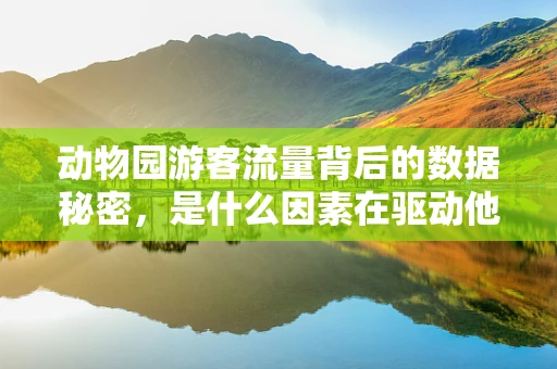动物园游客流量背后的数据秘密，是什么因素在驱动他们的选择？