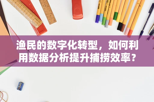 渔民的数字化转型，如何利用数据分析提升捕捞效率？
