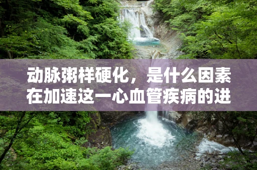动脉粥样硬化，是什么因素在加速这一心血管疾病的进程？