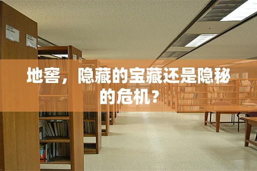 地窖，隐藏的宝藏还是隐秘的危机？