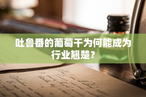 吐鲁番的葡萄干为何能成为行业翘楚？