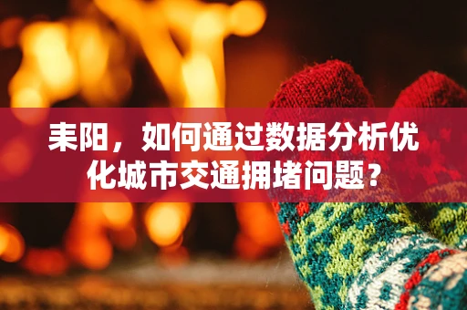 耒阳，如何通过数据分析优化城市交通拥堵问题？