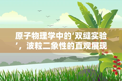 原子物理学中的‘双缝实验’，波粒二象性的直观展现？
