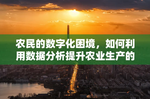 农民的数字化困境，如何利用数据分析提升农业生产的精准性？