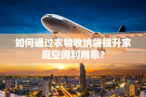 如何通过衣物收纳袋提升家庭空间利用率？