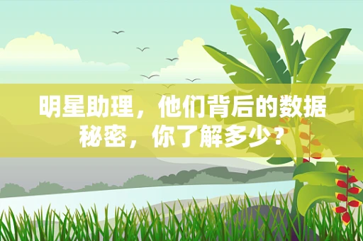 明星助理，他们背后的数据秘密，你了解多少？