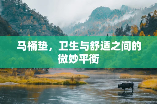 马桶垫，卫生与舒适之间的微妙平衡