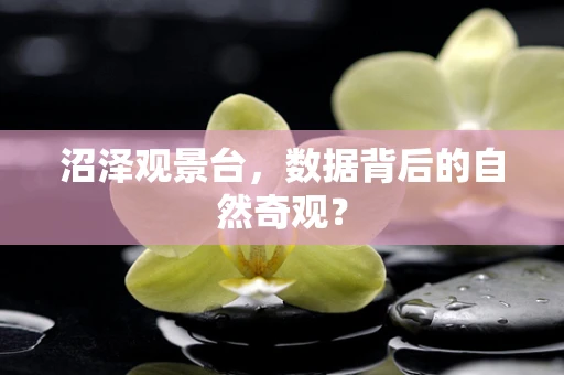 沼泽观景台，数据背后的自然奇观？