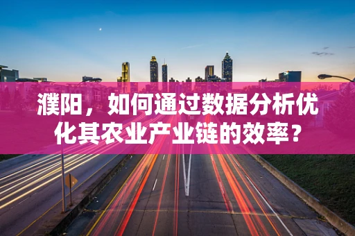 濮阳，如何通过数据分析优化其农业产业链的效率？