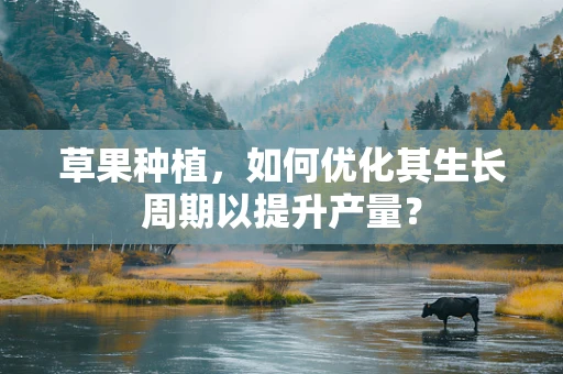 草果种植，如何优化其生长周期以提升产量？