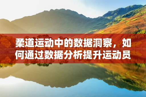 柔道运动中的数据洞察，如何通过数据分析提升运动员表现？