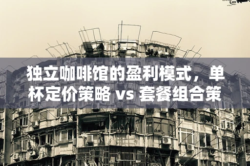 独立咖啡馆的盈利模式，单杯定价策略 vs 套餐组合策略，哪个更胜一筹？