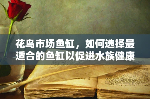 花鸟市场鱼缸，如何选择最适合的鱼缸以促进水族健康生长？