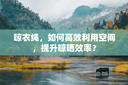 晾衣绳，如何高效利用空间，提升晾晒效率？