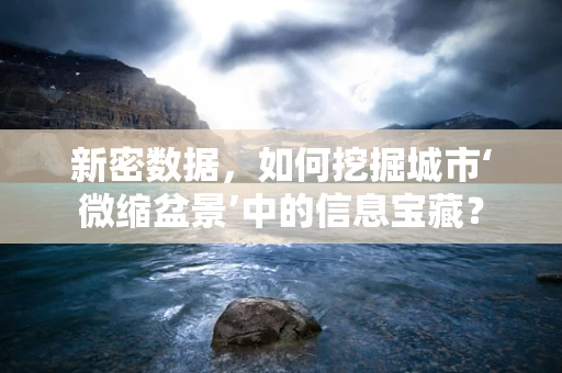 新密数据，如何挖掘城市‘微缩盆景’中的信息宝藏？