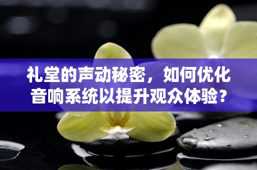 礼堂的声动秘密，如何优化音响系统以提升观众体验？