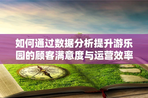 如何通过数据分析提升游乐园的顾客满意度与运营效率？