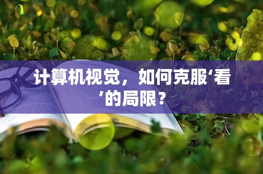 计算机视觉，如何克服‘看’的局限？