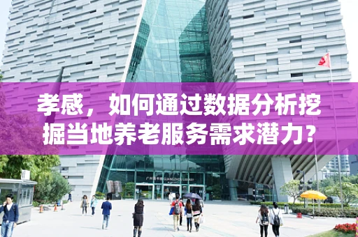 孝感，如何通过数据分析挖掘当地养老服务需求潜力？