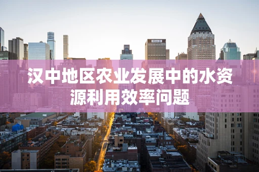 汉中地区农业发展中的水资源利用效率问题