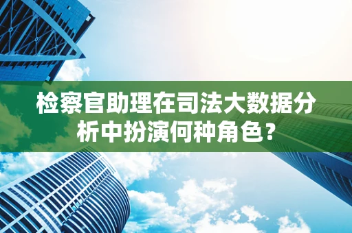 检察官助理在司法大数据分析中扮演何种角色？