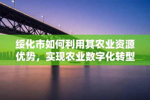 绥化市如何利用其农业资源优势，实现农业数字化转型？