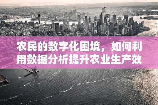农民的数字化困境，如何利用数据分析提升农业生产效率？