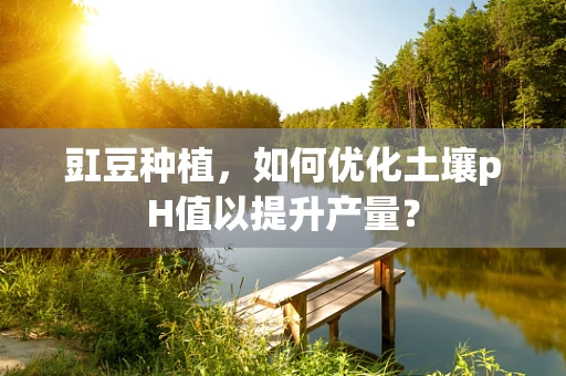 豇豆种植，如何优化土壤pH值以提升产量？