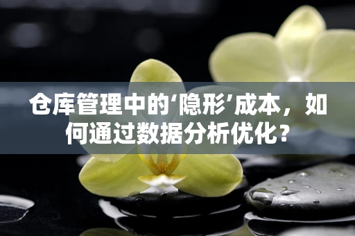 仓库管理中的‘隐形’成本，如何通过数据分析优化？