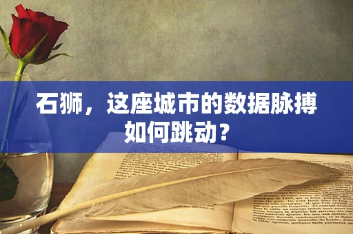 石狮，这座城市的数据脉搏如何跳动？