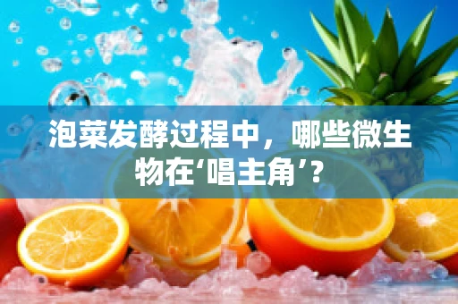 泡菜发酵过程中，哪些微生物在‘唱主角’？