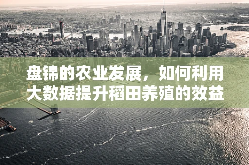 盘锦的农业发展，如何利用大数据提升稻田养殖的效益？