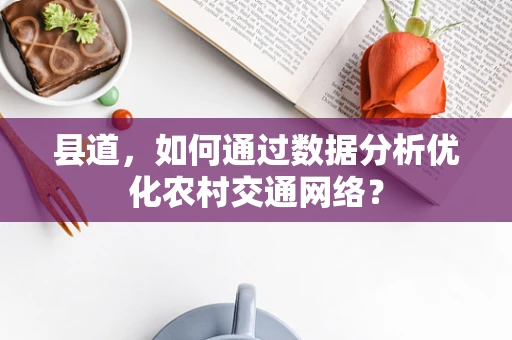 县道，如何通过数据分析优化农村交通网络？