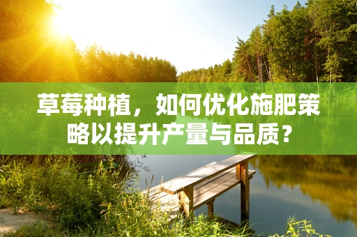 草莓种植，如何优化施肥策略以提升产量与品质？