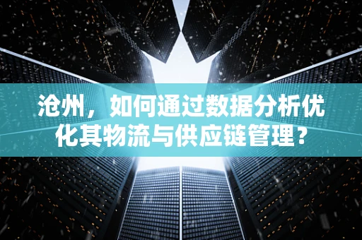 沧州，如何通过数据分析优化其物流与供应链管理？