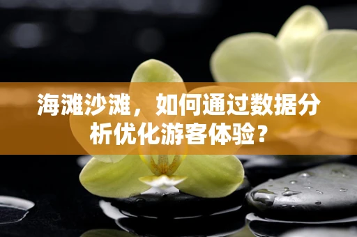 海滩沙滩，如何通过数据分析优化游客体验？