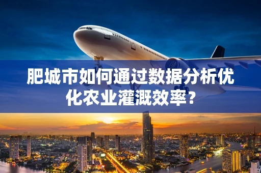 肥城市如何通过数据分析优化农业灌溉效率？