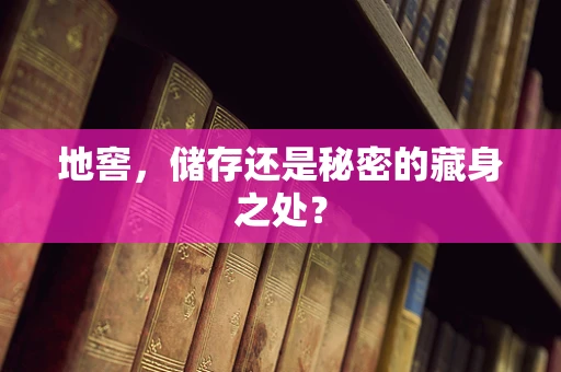 地窖，储存还是秘密的藏身之处？