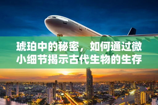 琥珀中的秘密，如何通过微小细节揭示古代生物的生存环境？