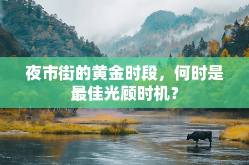 夜市街的黄金时段，何时是最佳光顾时机？