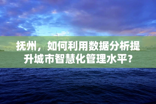 抚州，如何利用数据分析提升城市智慧化管理水平？