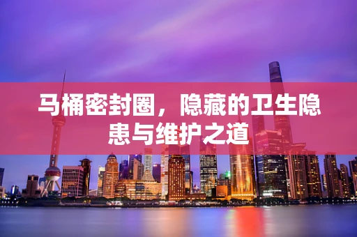 马桶密封圈，隐藏的卫生隐患与维护之道
