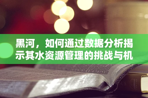 黑河，如何通过数据分析揭示其水资源管理的挑战与机遇？