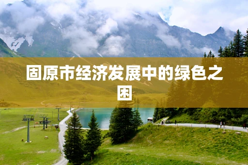 固原市经济发展中的绿色之困