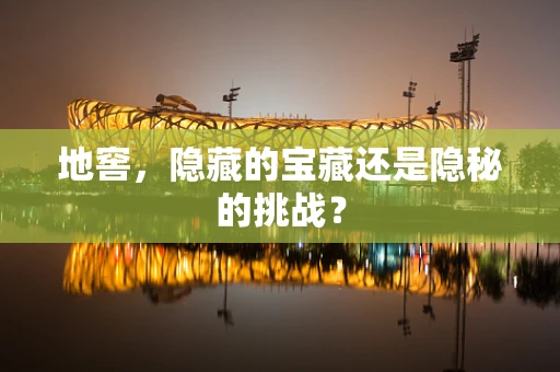地窖，隐藏的宝藏还是隐秘的挑战？