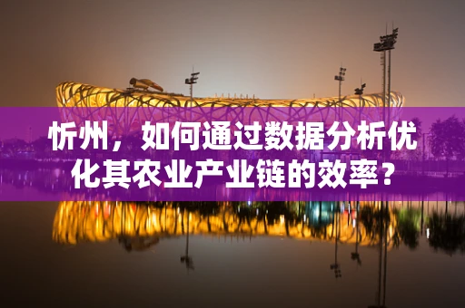 忻州，如何通过数据分析优化其农业产业链的效率？