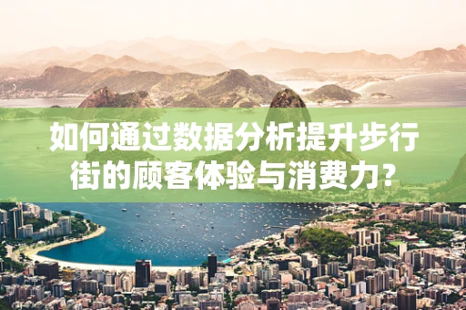 如何通过数据分析提升步行街的顾客体验与消费力？