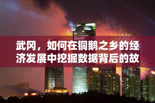 武冈，如何在铜鹅之乡的经济发展中挖掘数据背后的故事？